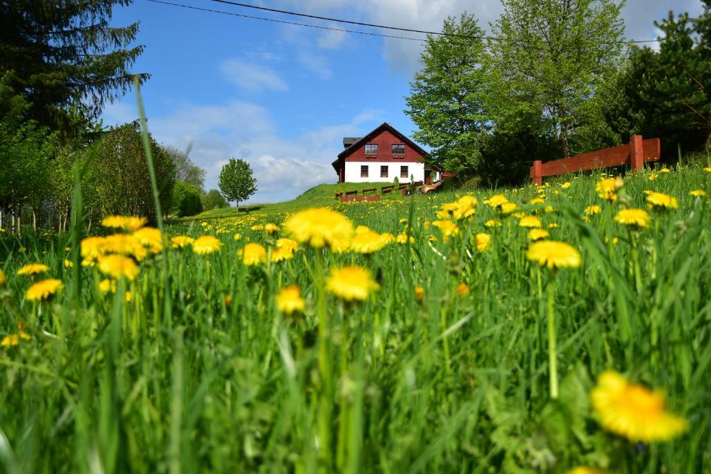 Chalupa Tomiva room 1